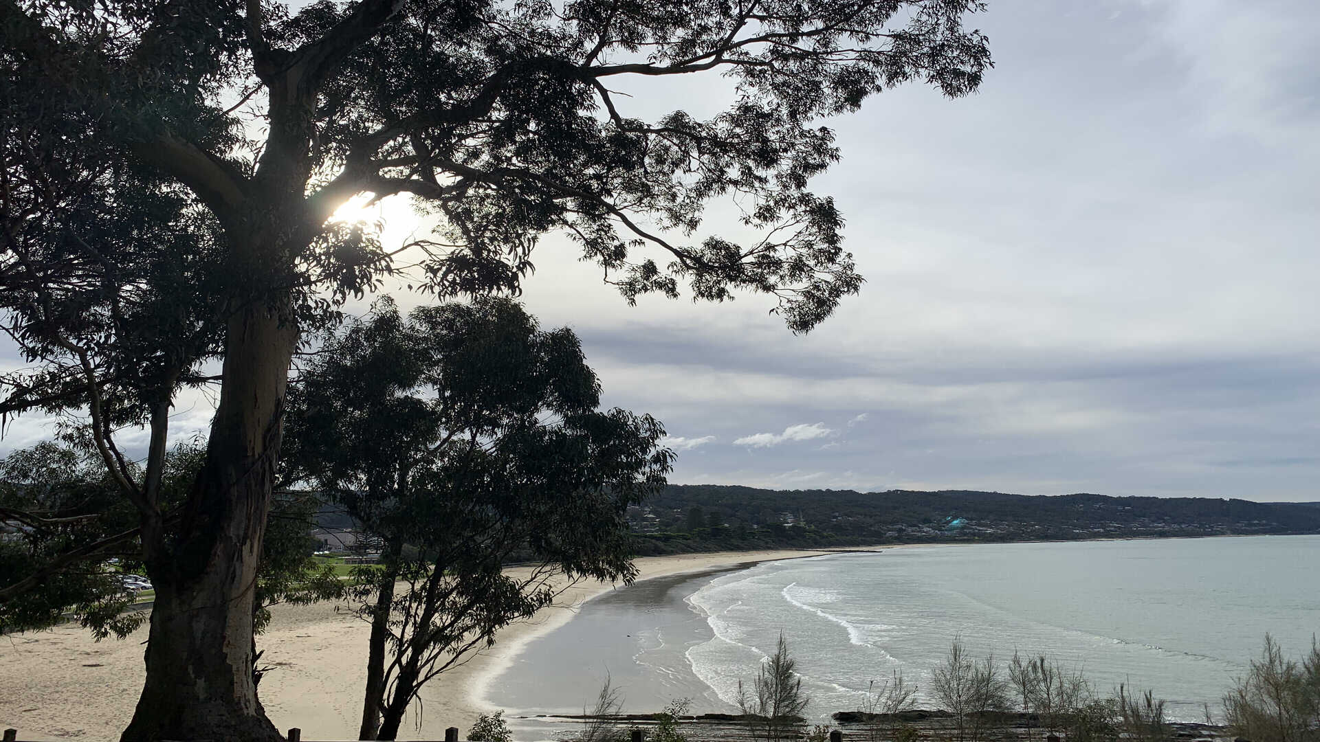 JPEG output from the FPGA encoder